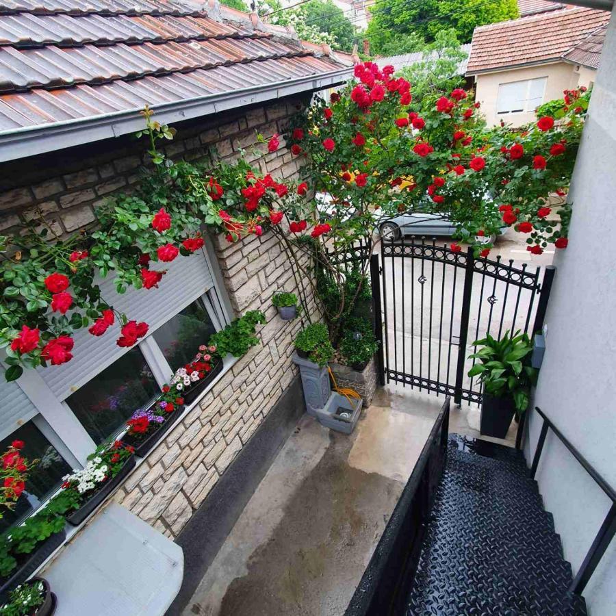 Fortress Apartments Ni Eksteriør billede